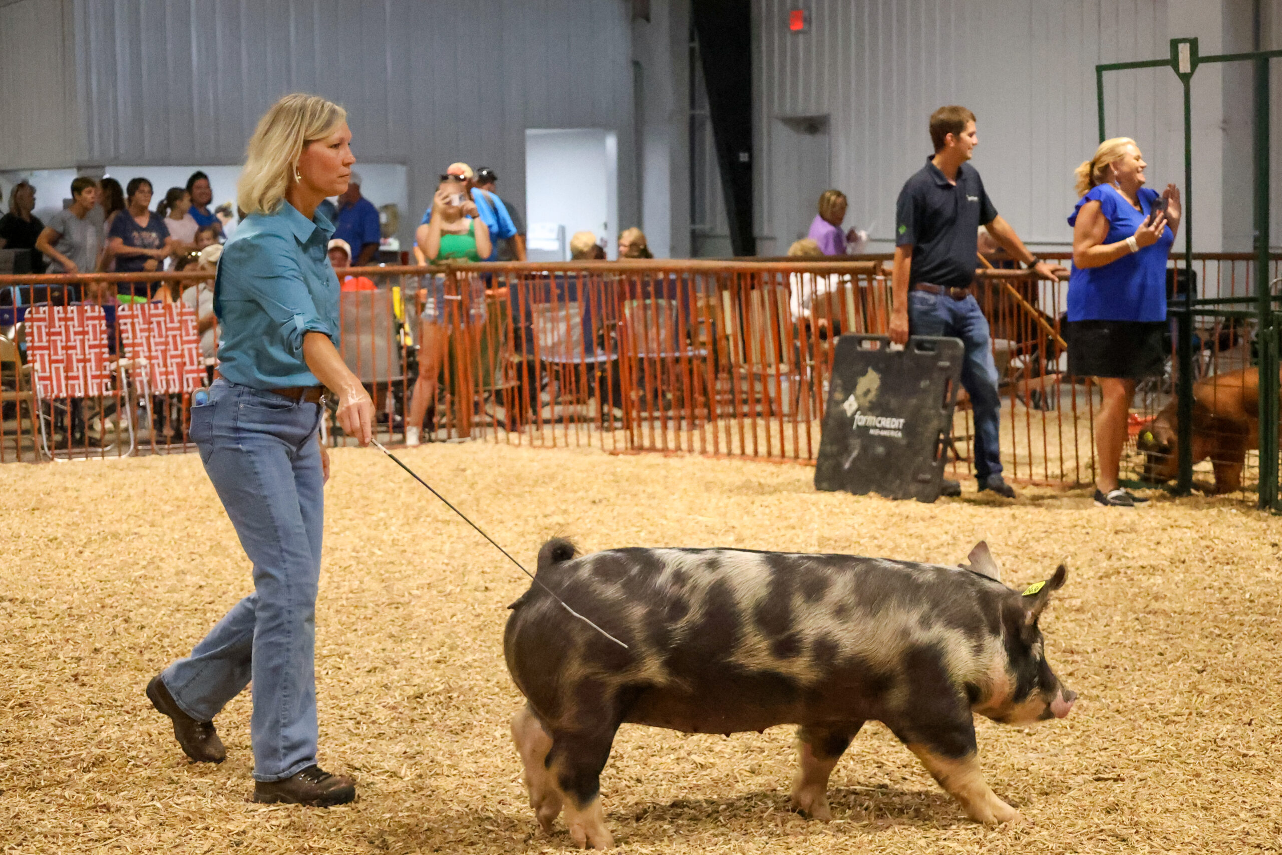 Old Timer's 4H Swine Show