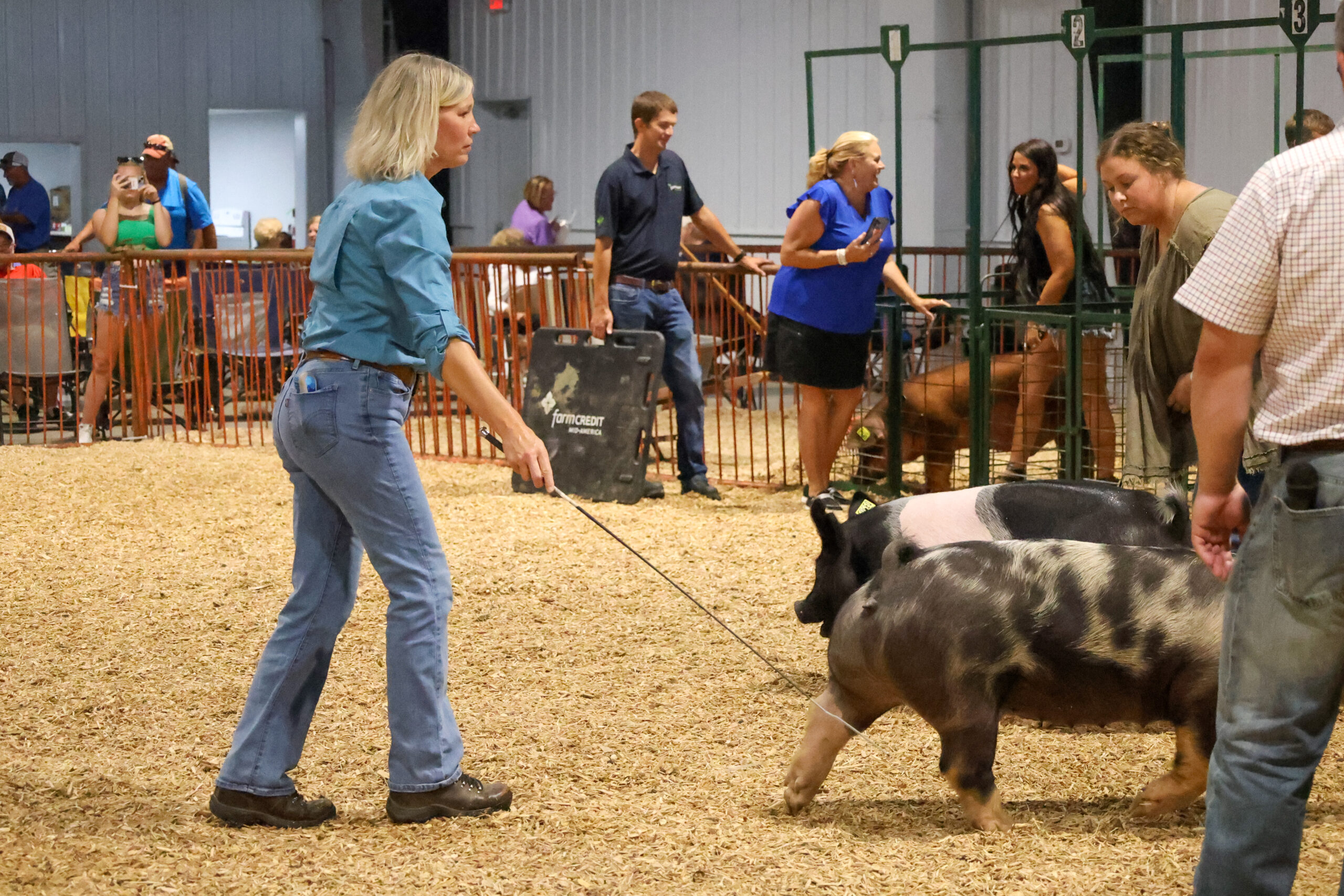 Old Timer's 4H Swine Show