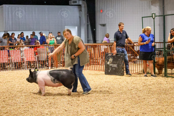 Old Timer's 4-H Swine Show