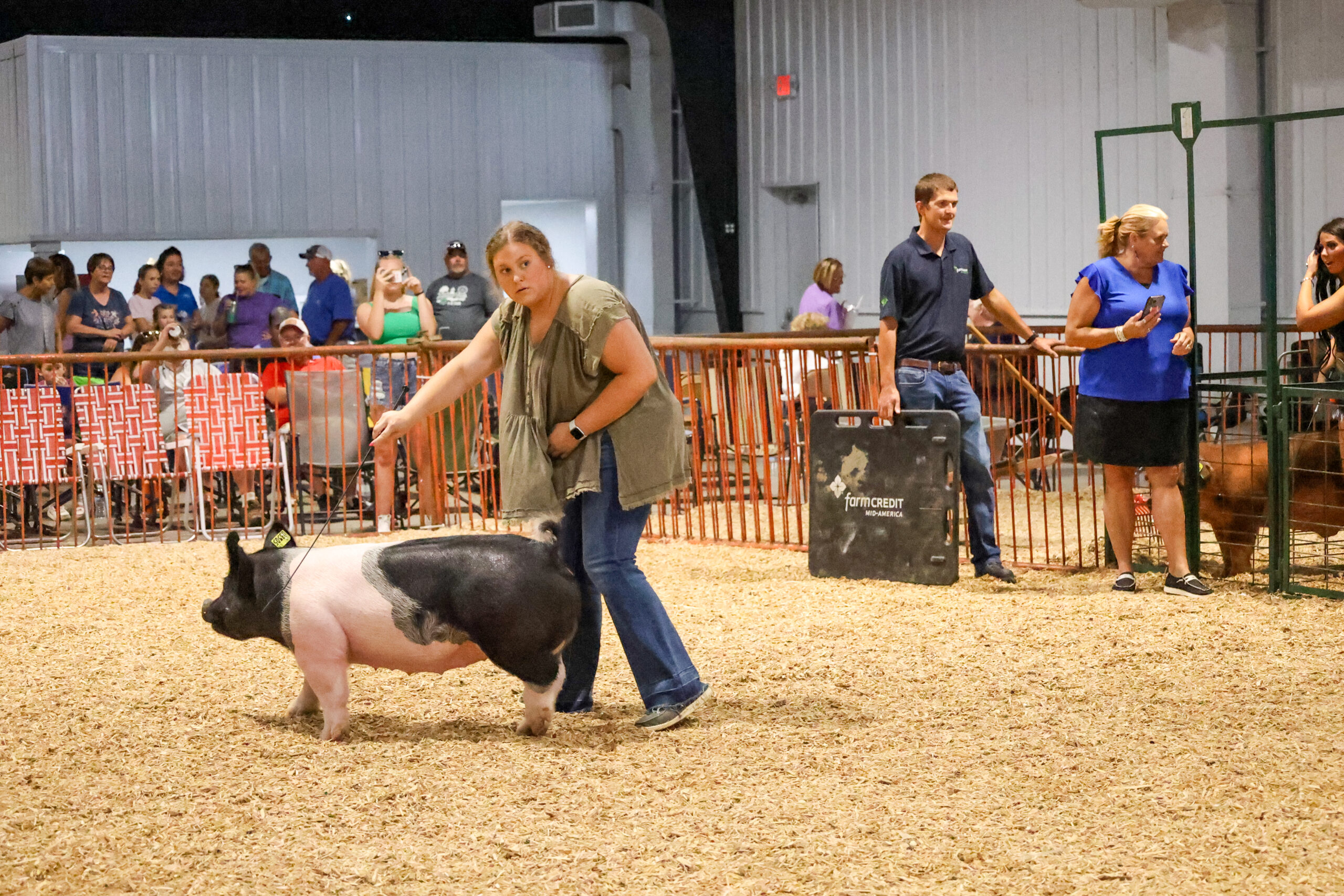 Old Timer's 4-H Swine Show