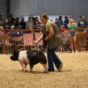 Old Timer's 4-H Swine Show