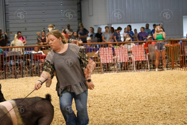 Old Timer's 4-H Swine Show