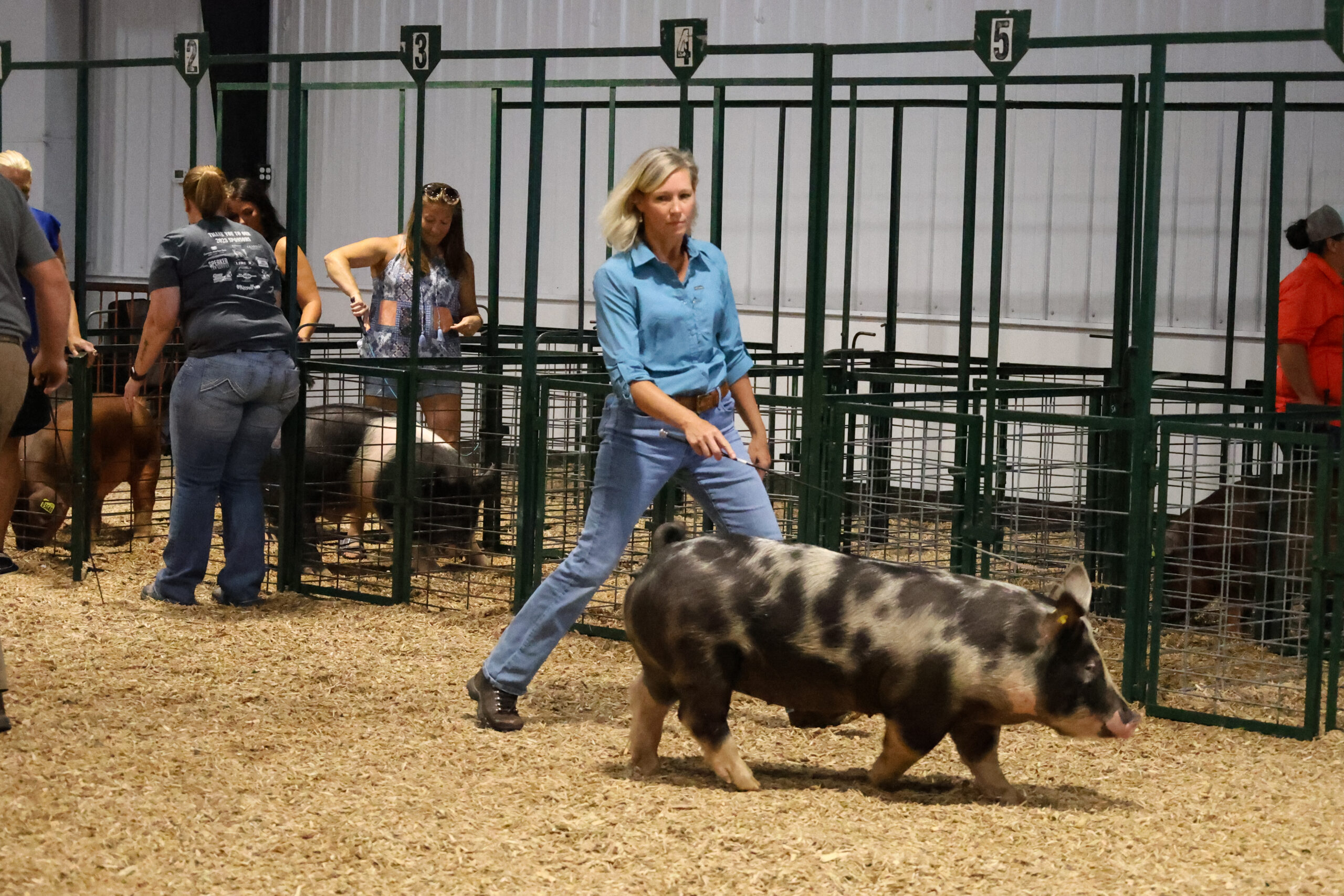 Old Timer's 4-H Swine Show