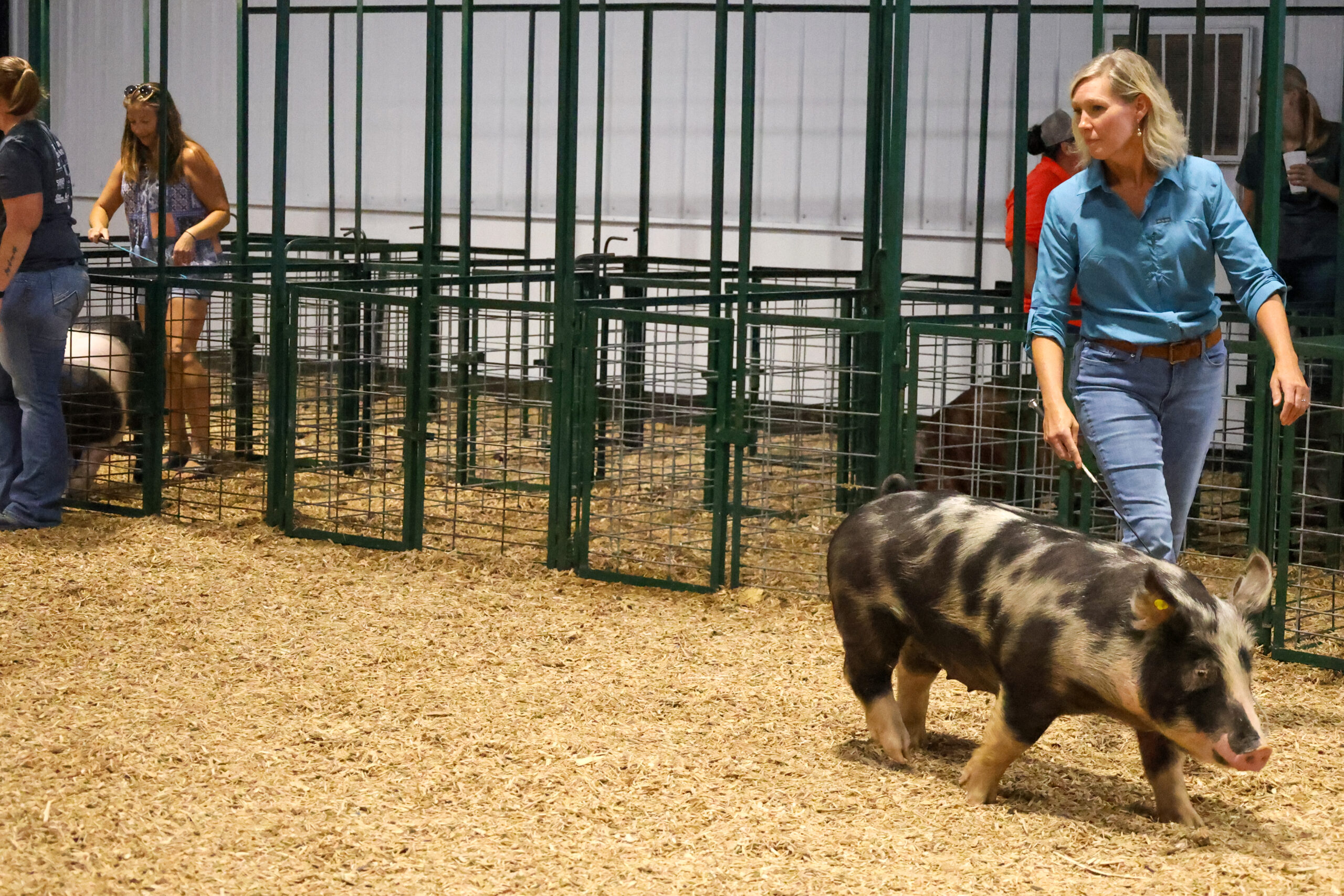 Old Timer's 4-H Swine Show