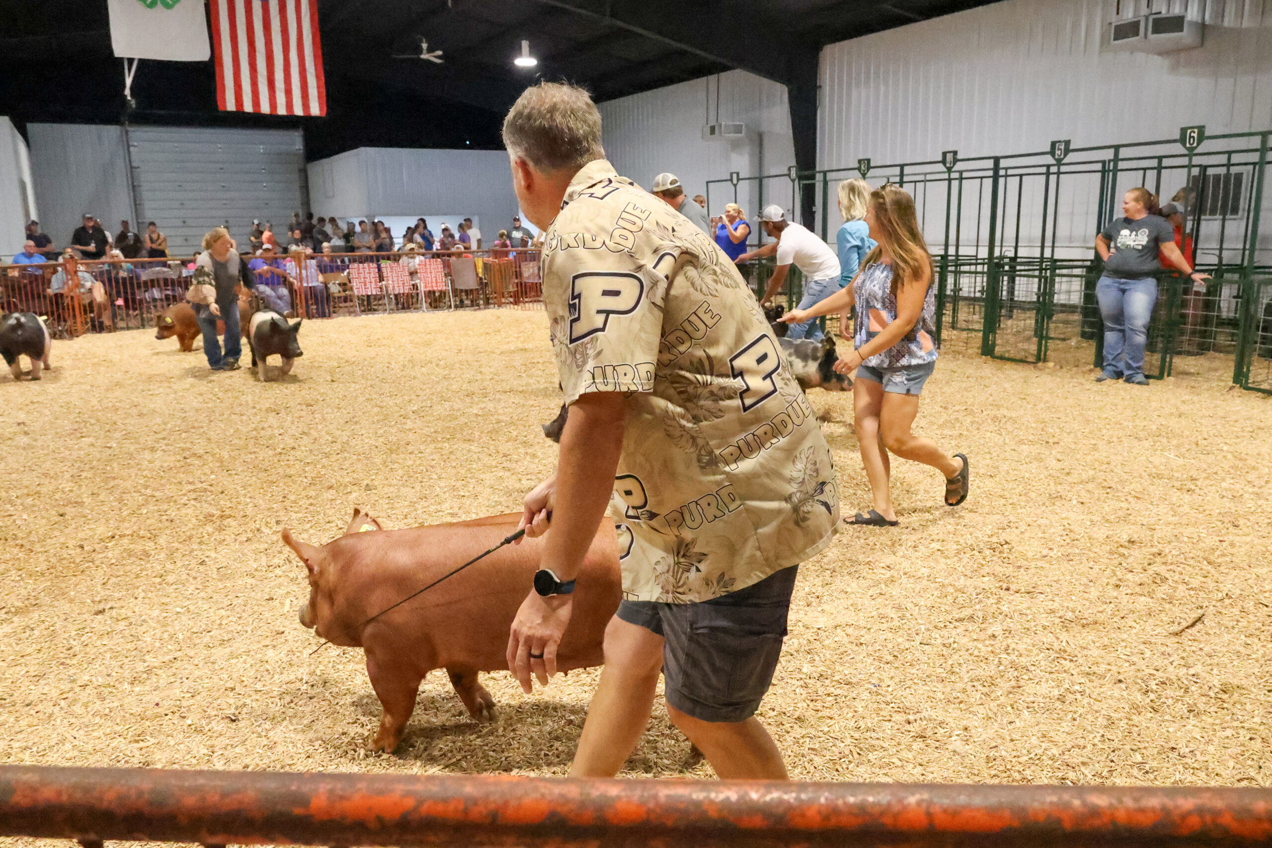 Old Timer's 4-H Swine Show
