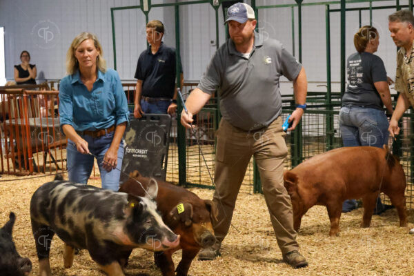 Old Timer's 4-H Swine Show