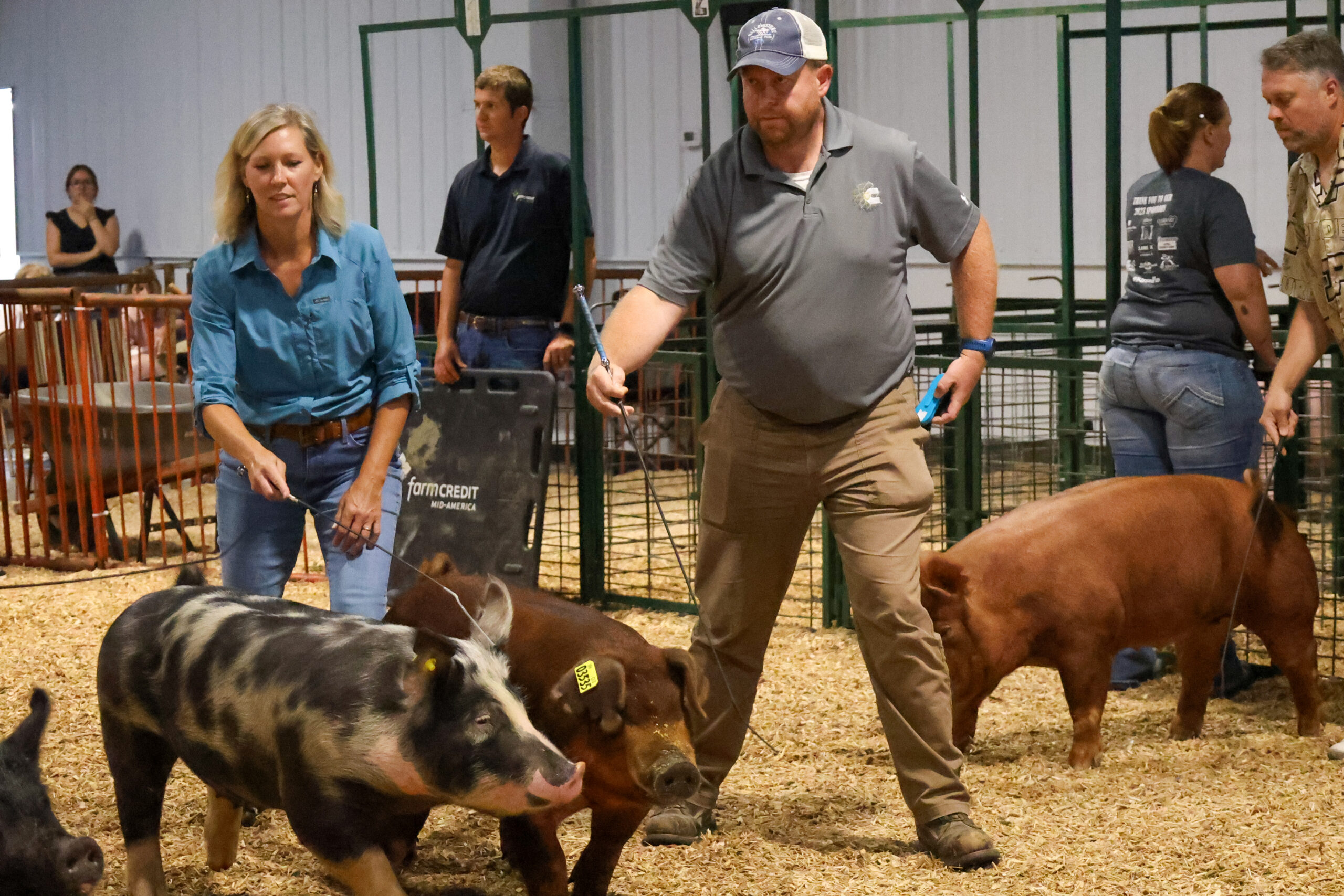 Old Timer's 4-H Swine Show