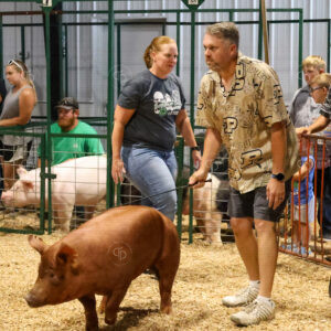 Old Timer's 4-H Swine Show