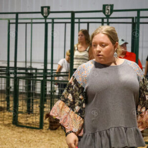 Old Timer's 4-H Swine Show