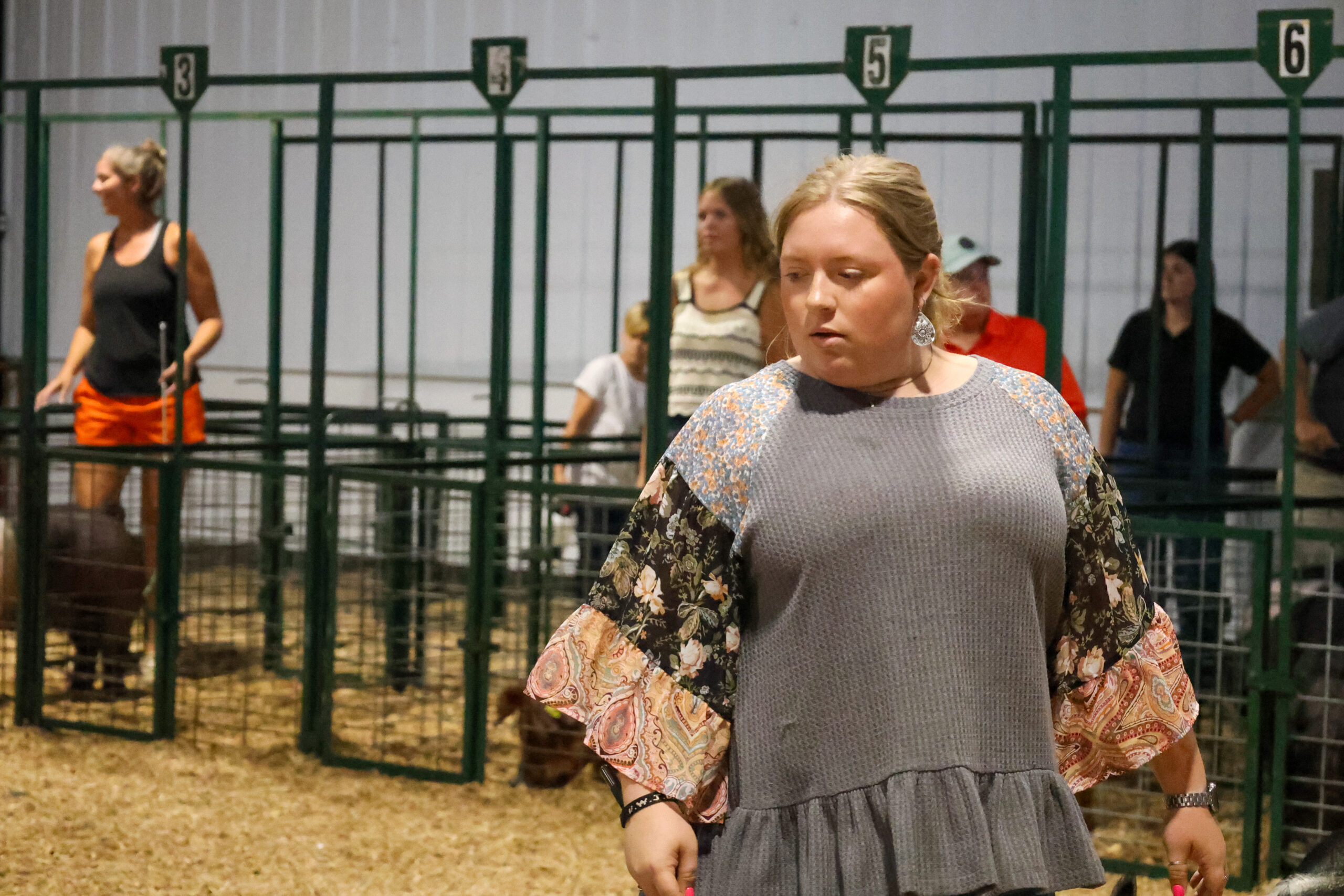 Old Timer's 4-H Swine Show