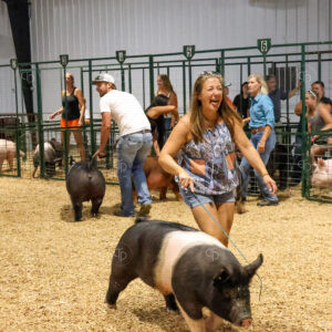 Old Timer's 4-H Swine Show