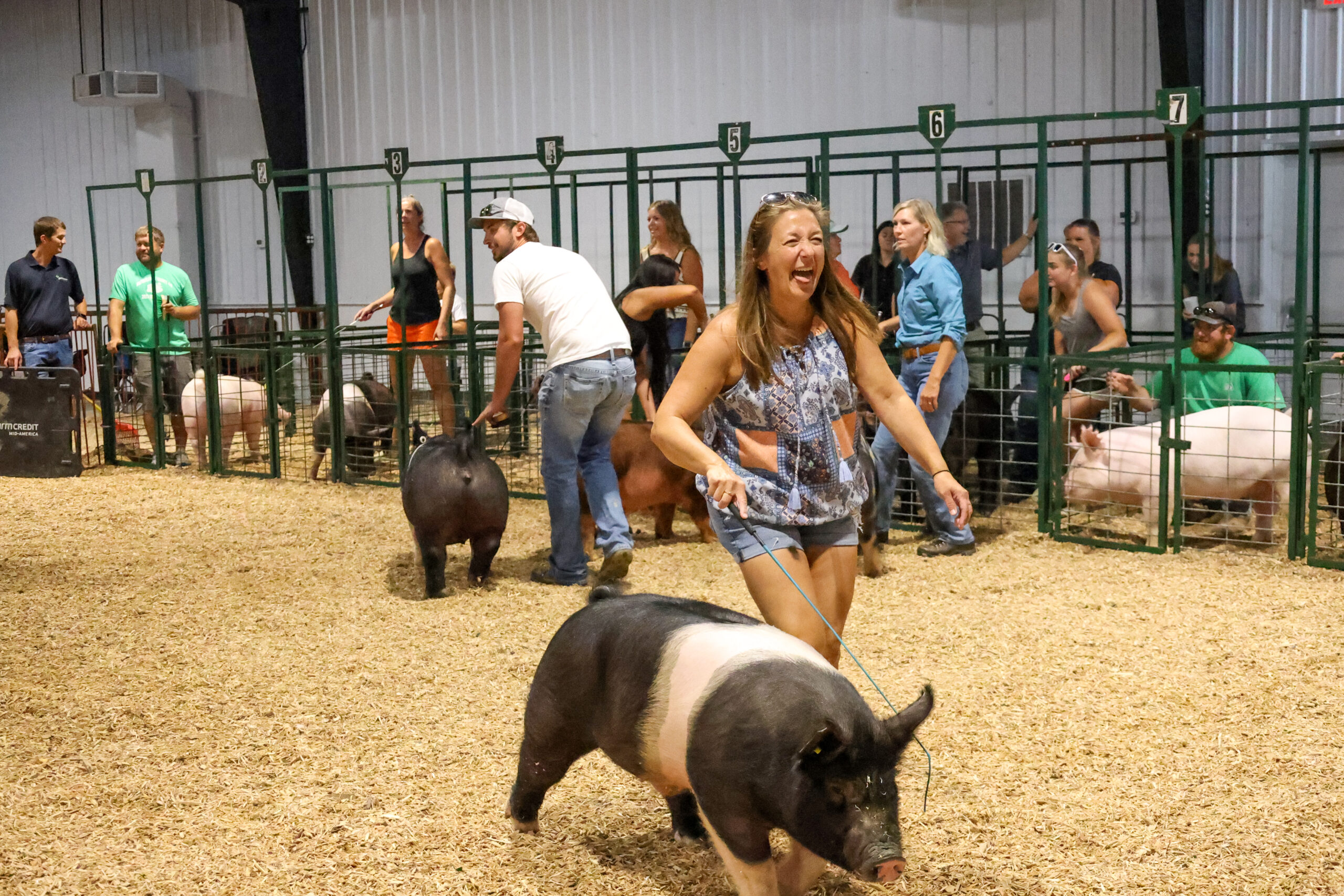 Old Timer's 4-H Swine Show