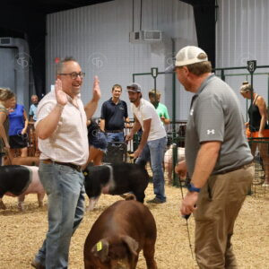 Old Timer's 4-H Swine Show