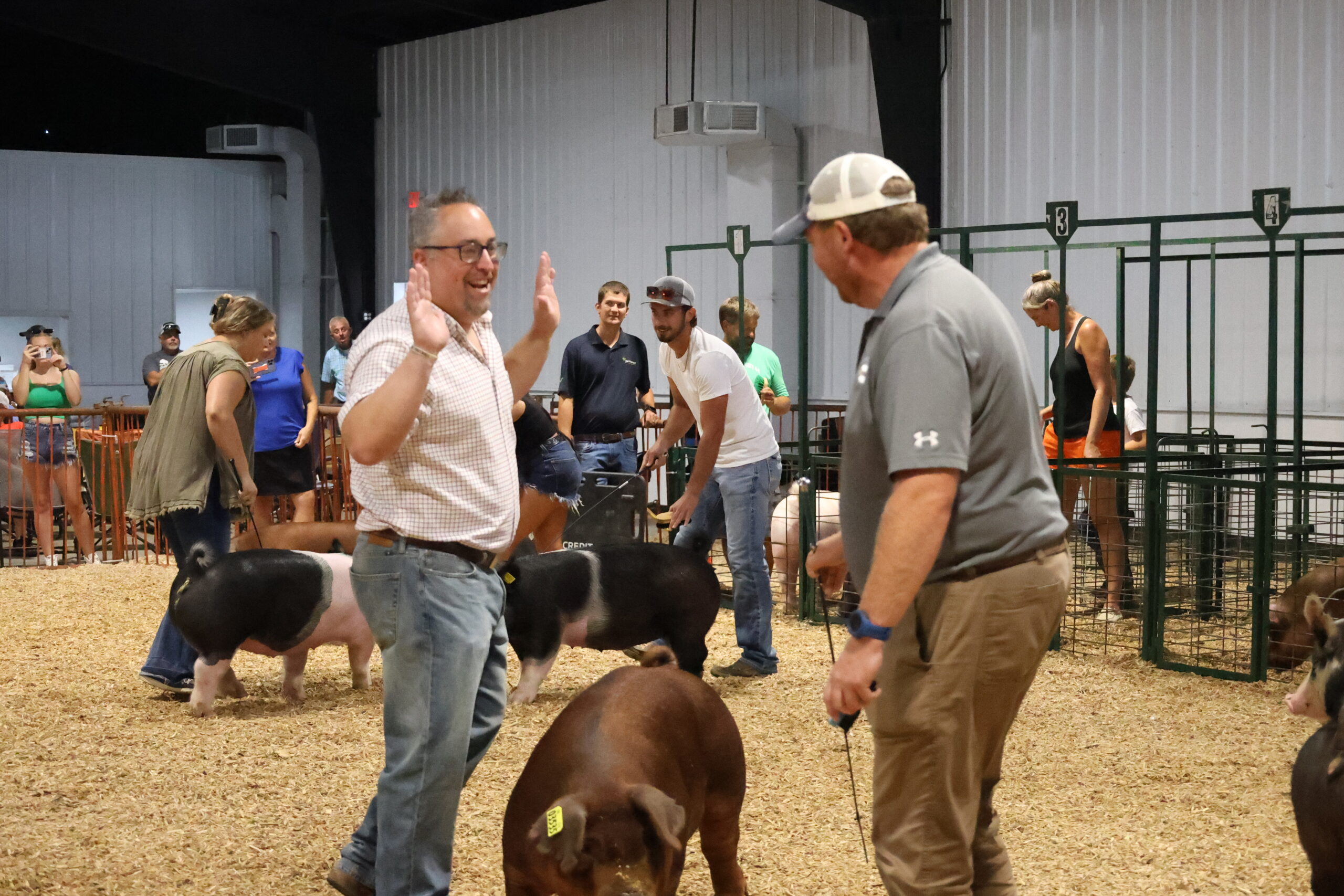 Old Timer's 4-H Swine Show