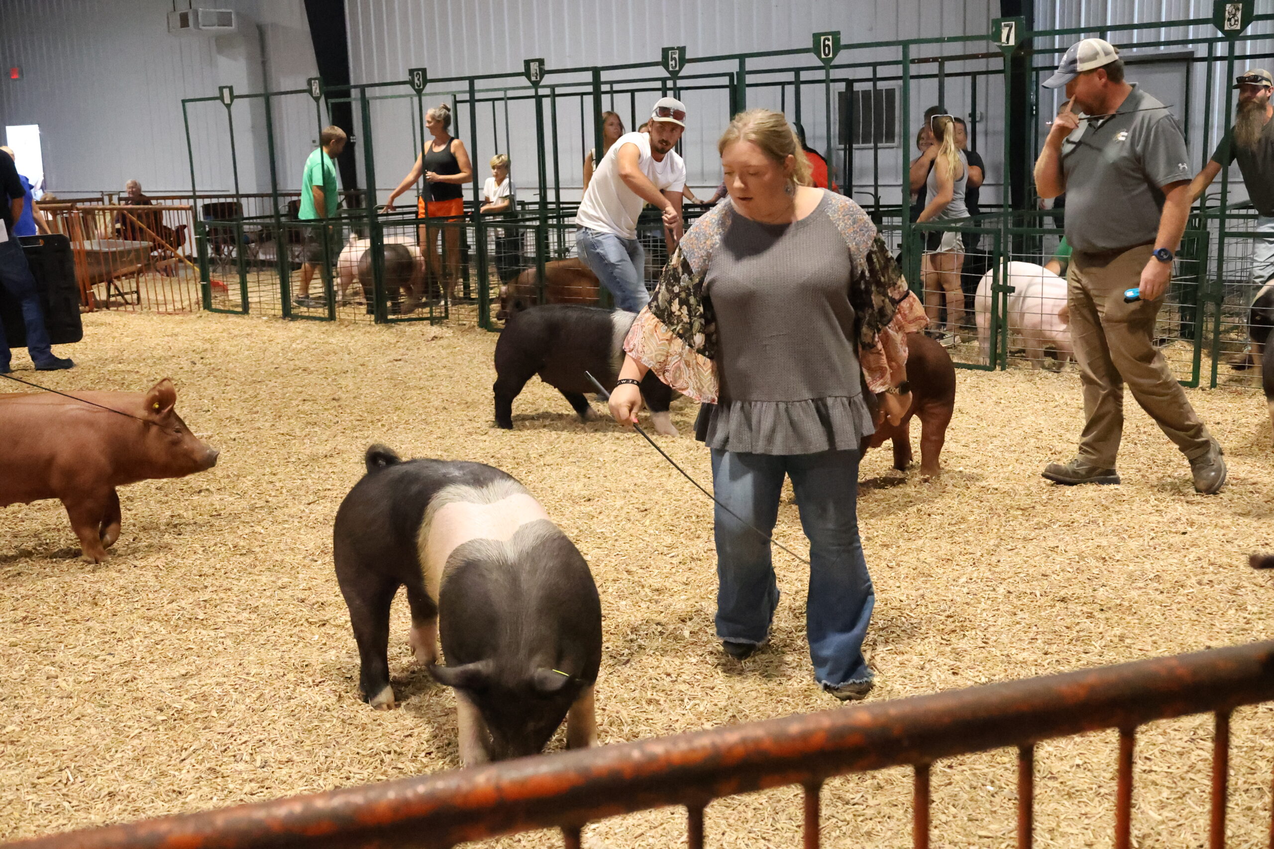 Old Timer's 4-H Swine Show