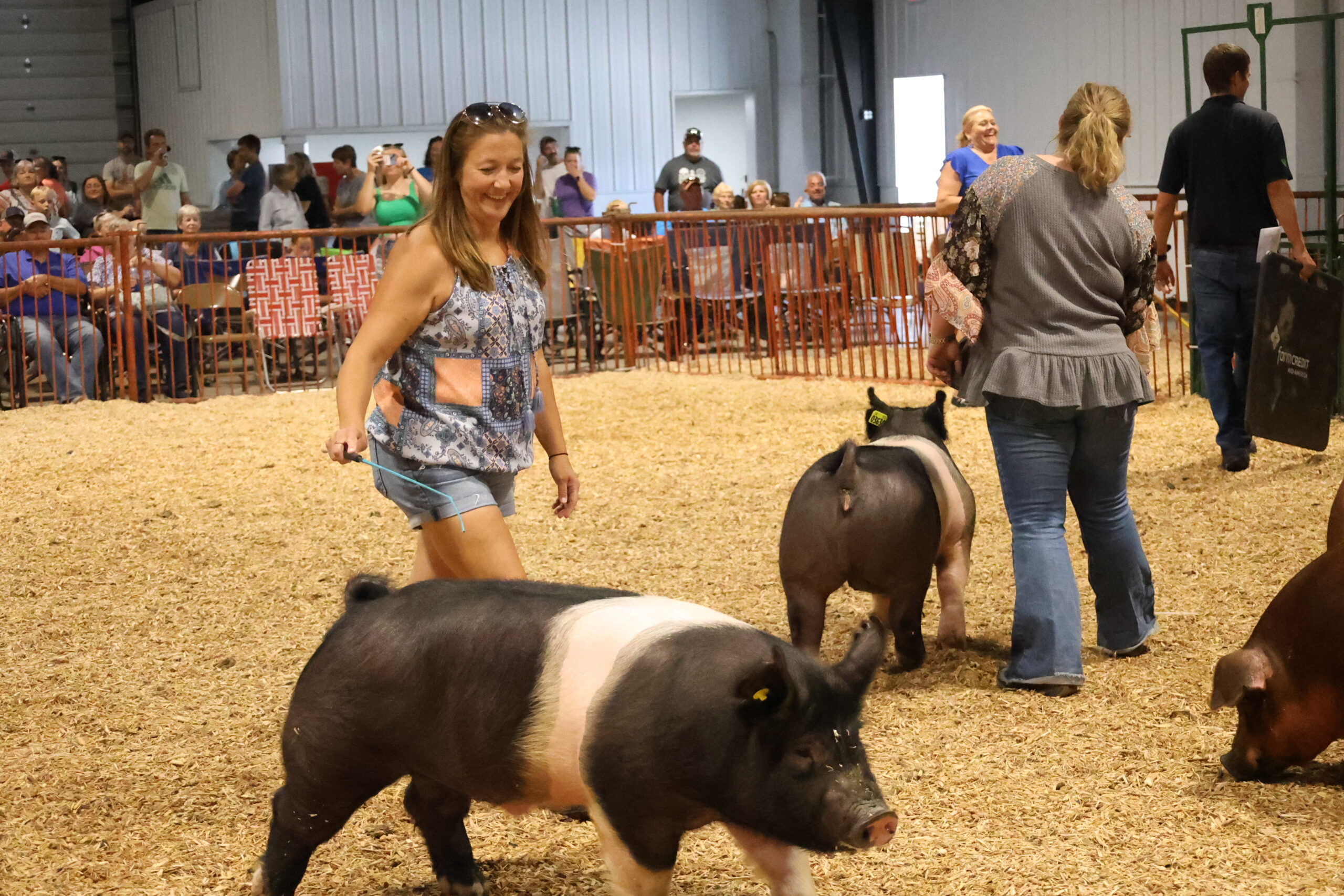 Old Timer's 4-H Swine Show