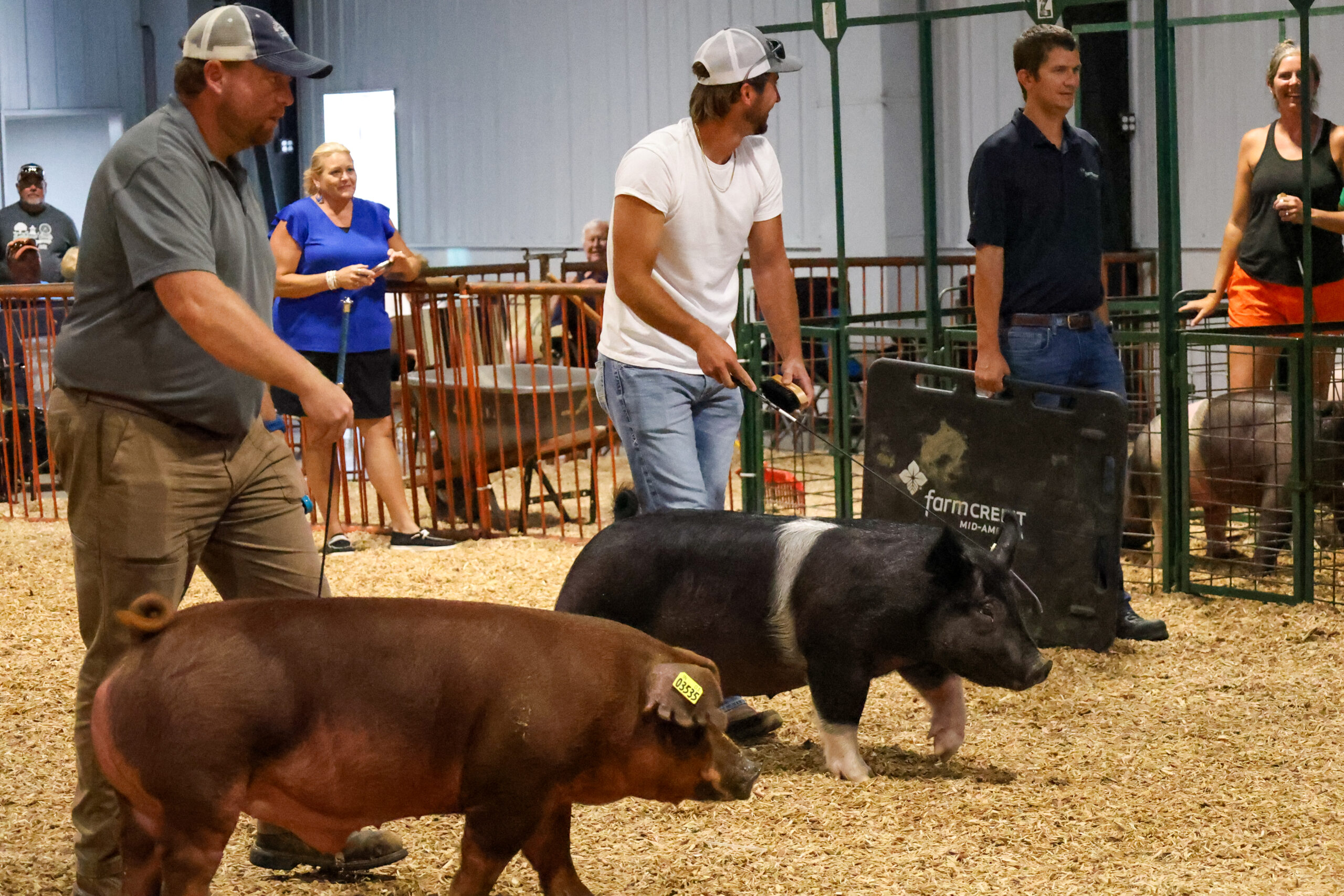 Old Timer's 4-H Swine Show