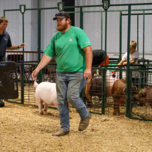 Old Timer's 4-H Swine Show