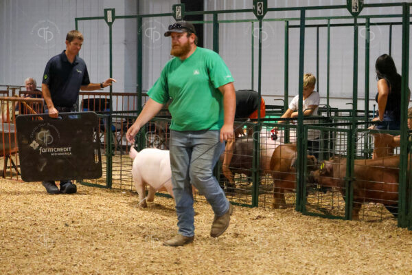 Old Timer's 4-H Swine Show