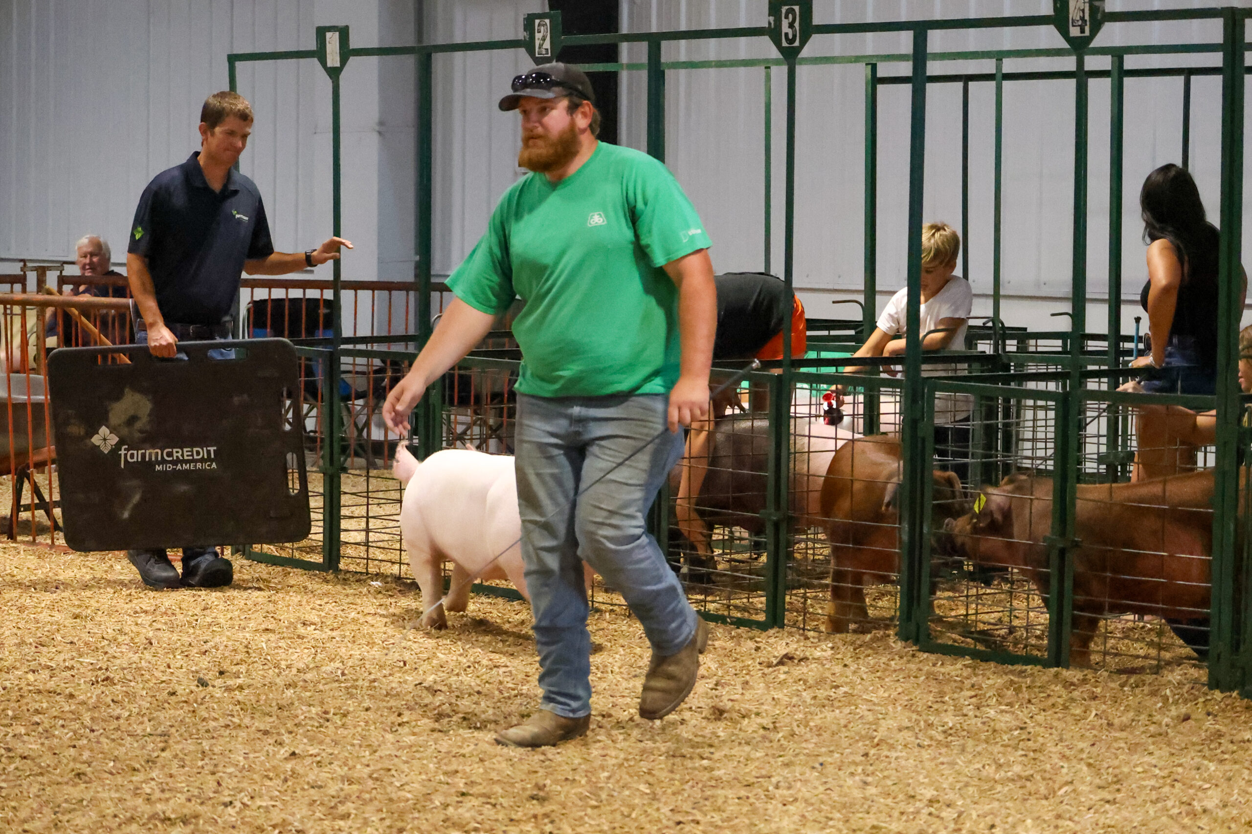 Old Timer's 4-H Swine Show