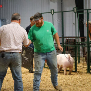 Old Timer's 4-H Swine Show