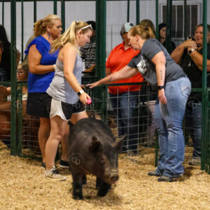 Old Timer's 4-H Swine Show