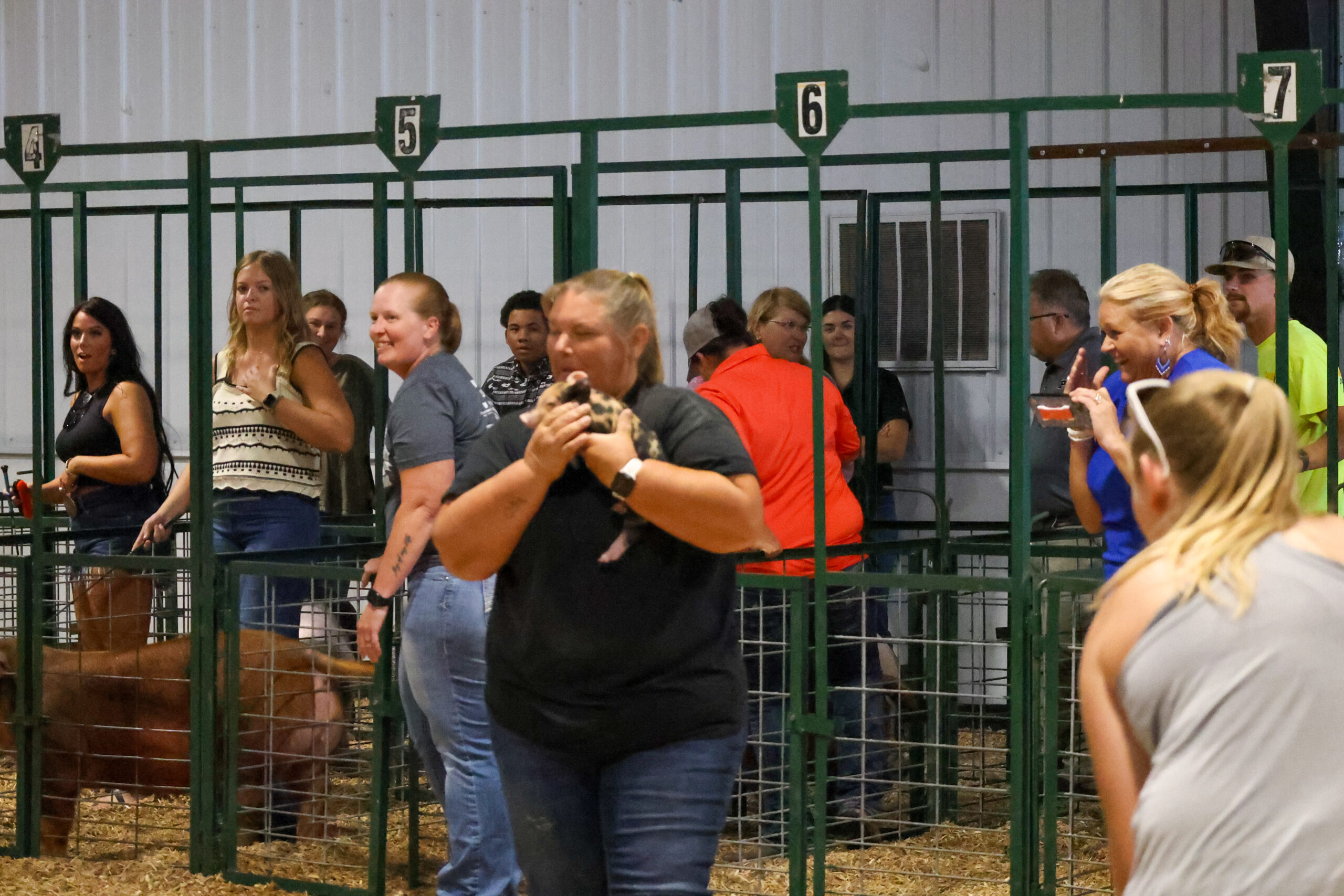 Old Timer's 4-H Swine Show