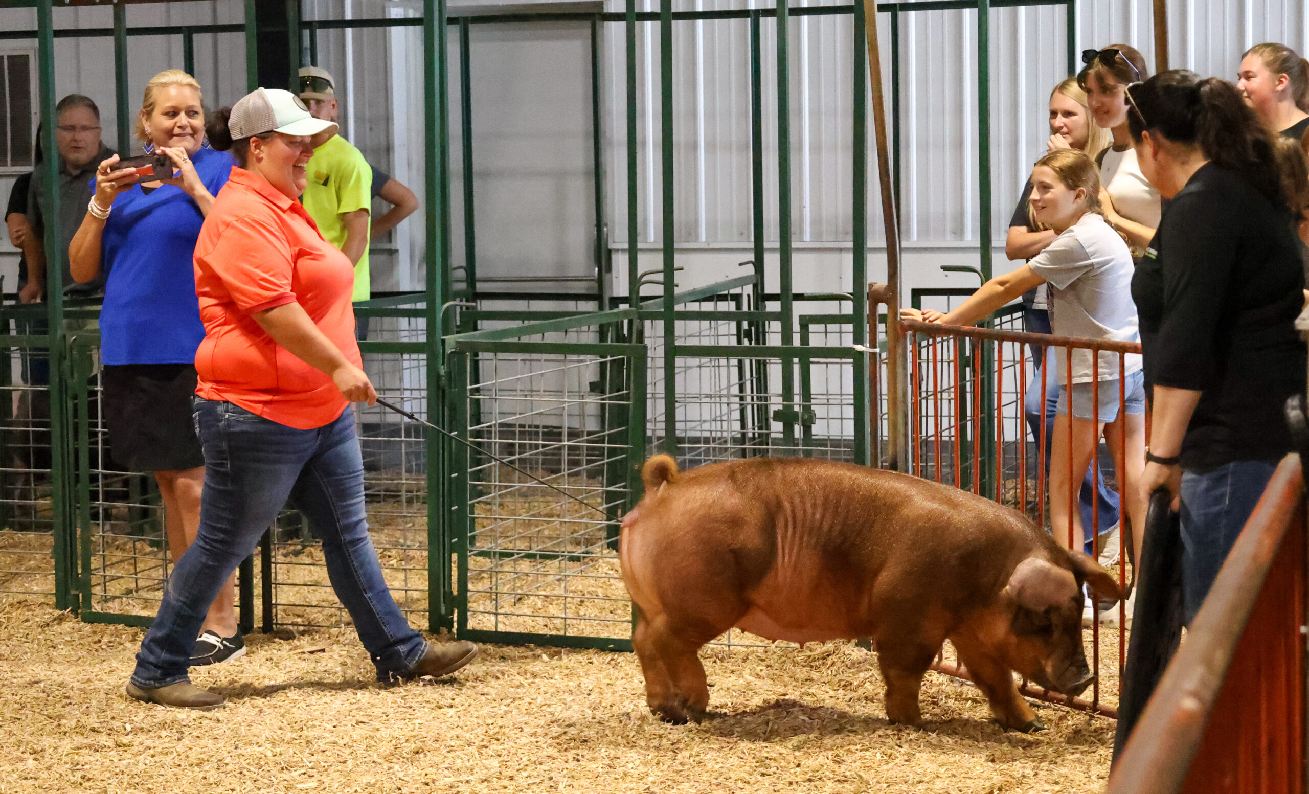 Old Timer's 4-H Swine Show
