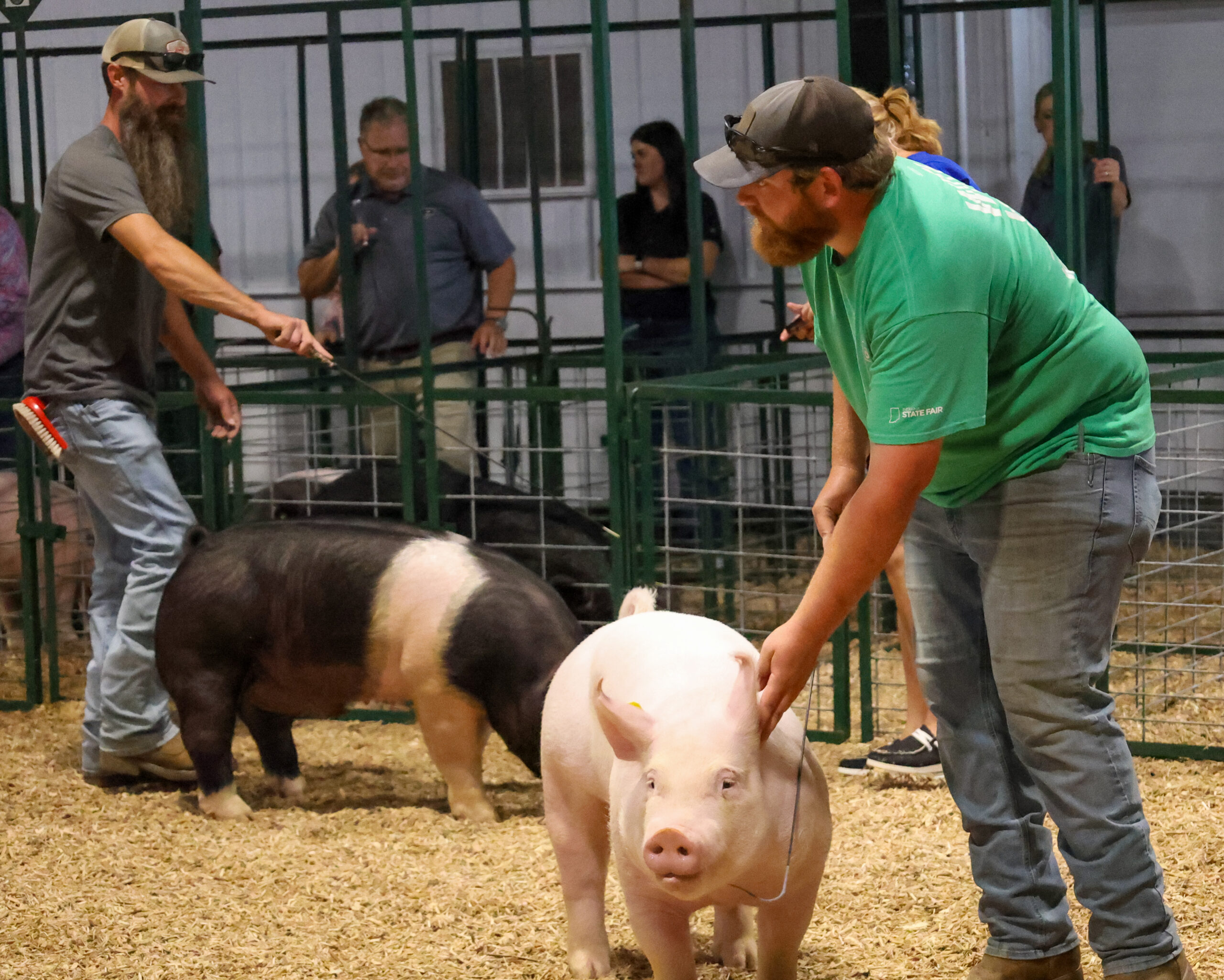 Old Timer's 4-H Swine Show