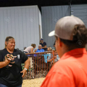 Old Timer's 4-H Swine Show