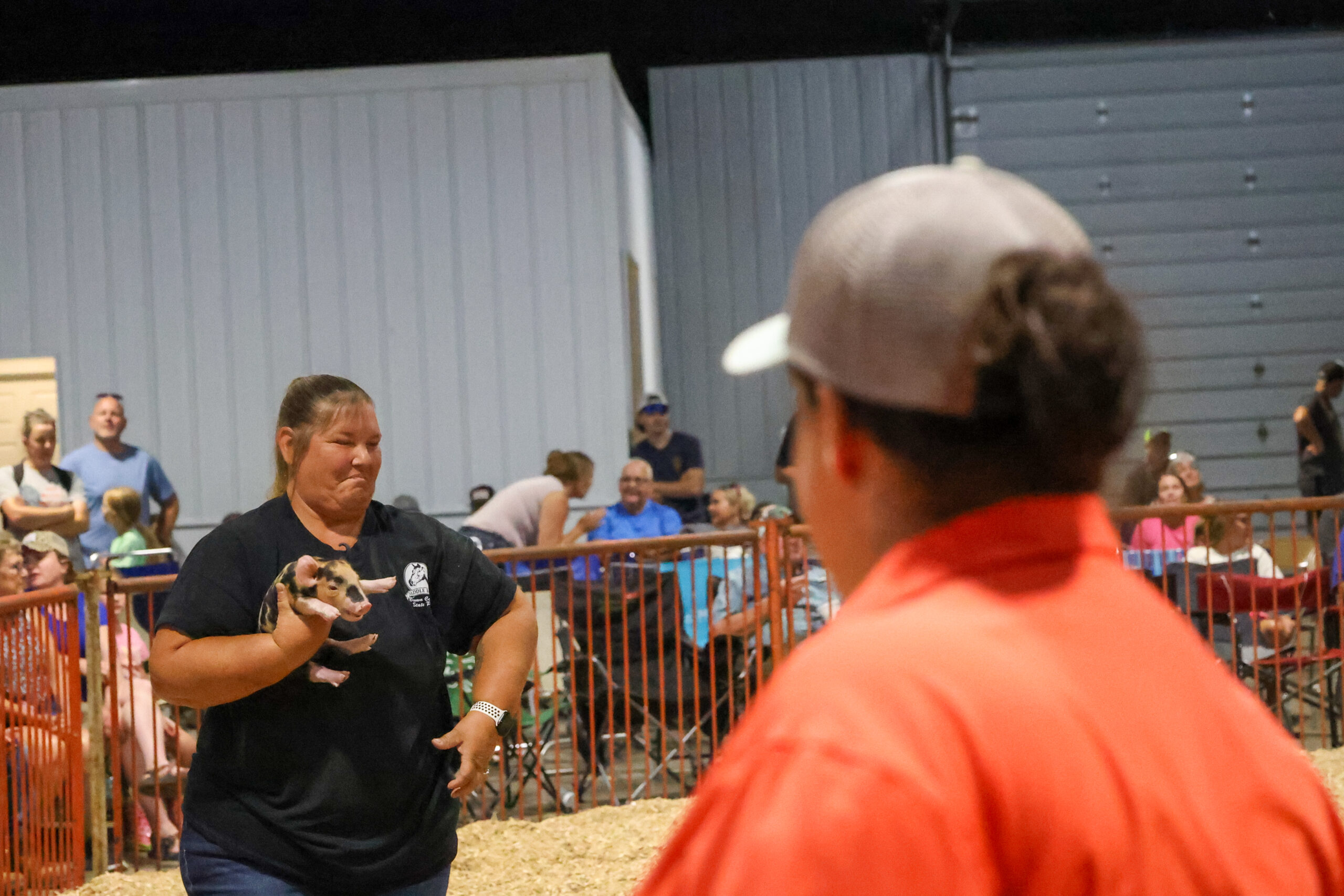 Old Timer's 4-H Swine Show