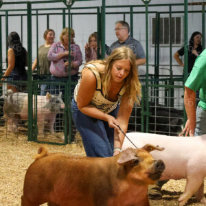 Old Timer's 4-H Swine Show