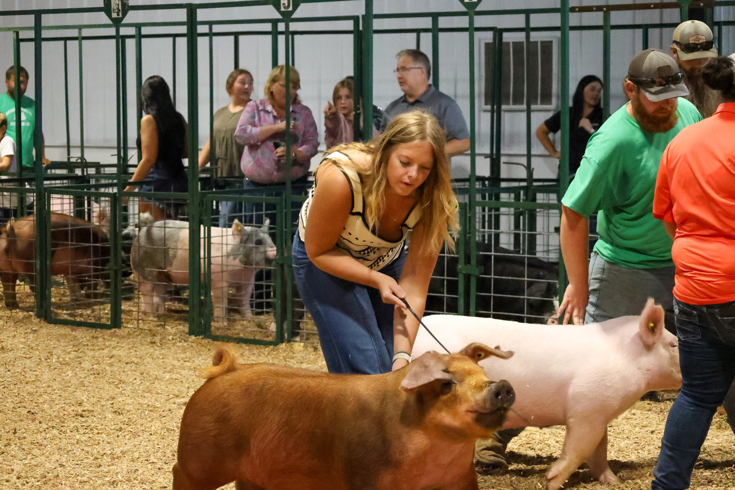 Old Timer's 4-H Swine Show