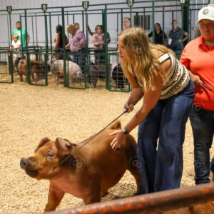 Old Timer's 4-H Swine Show