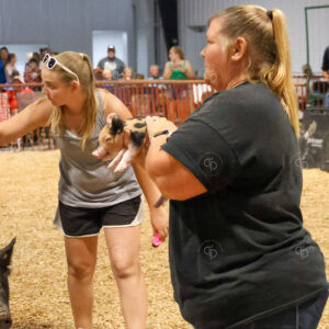 Old Timer's 4-H Swine Show