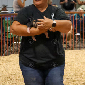 Old Timer's 4-H Swine Show