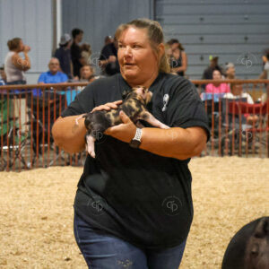 Old Timer's 4-H Swine Show