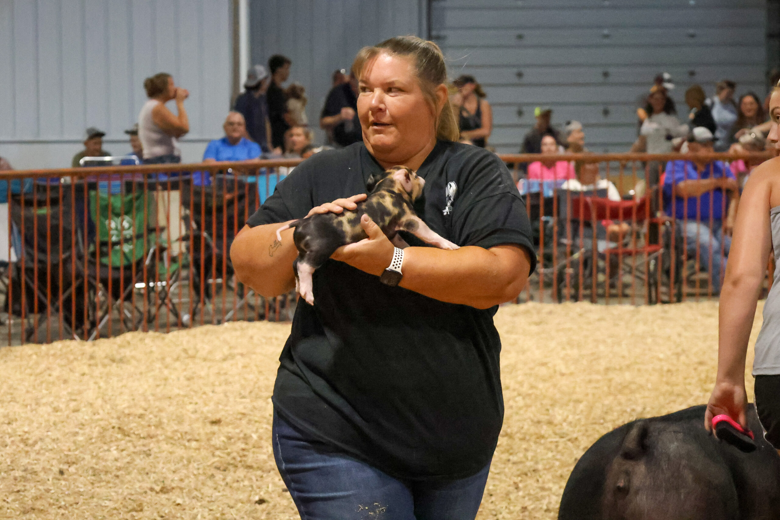 Old Timer's 4-H Swine Show