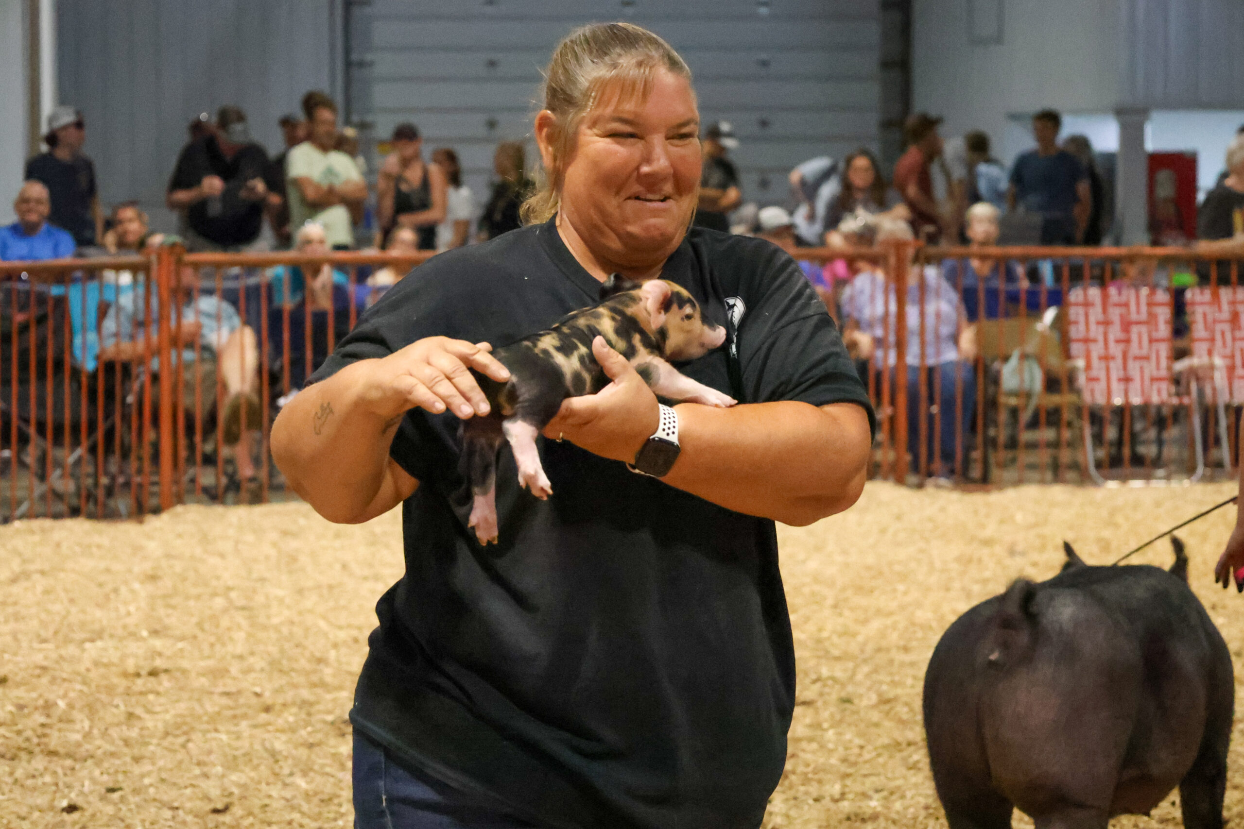Old Timer's 4-H Swine Show