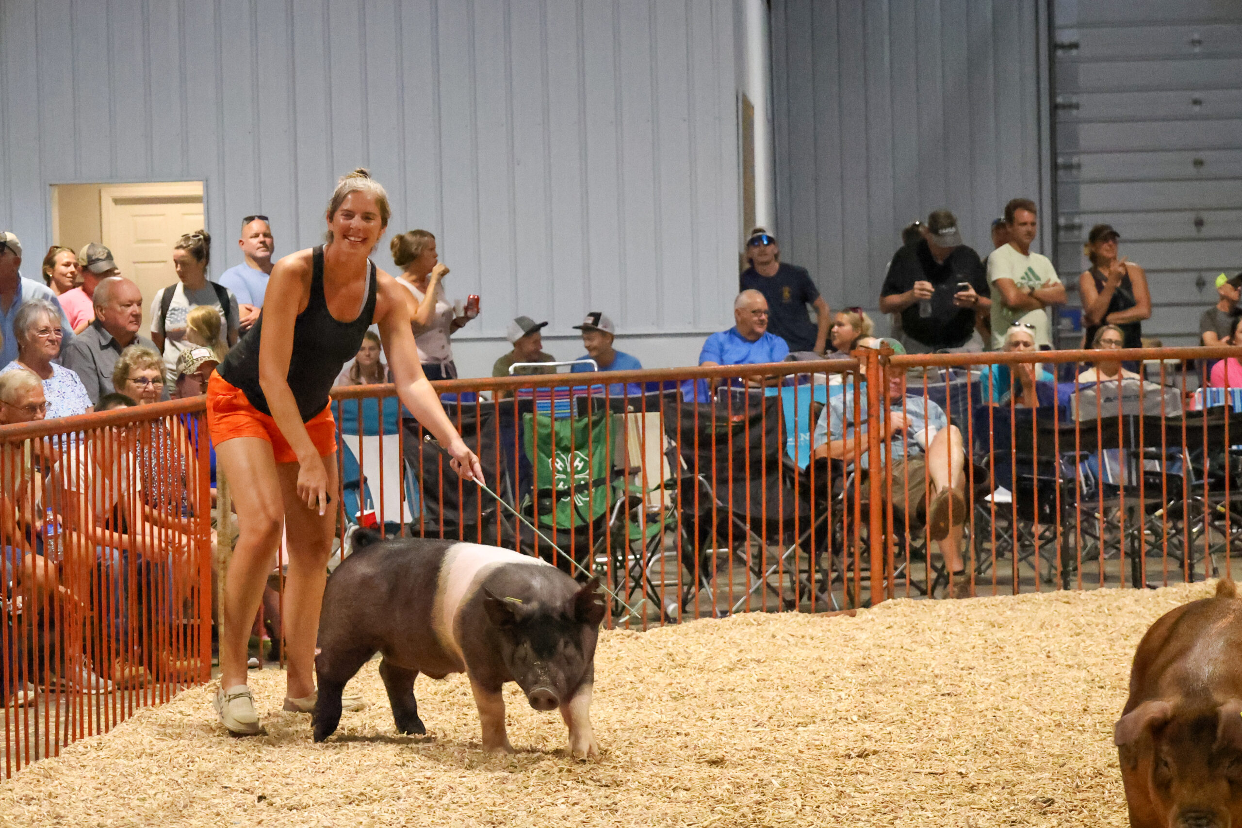 Old Timer's 4-H Swine Show