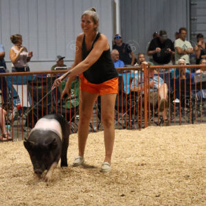 Old Timer's 4-H Swine Show