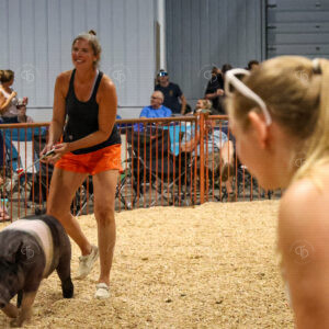 Old Timer's 4-H Swine Show