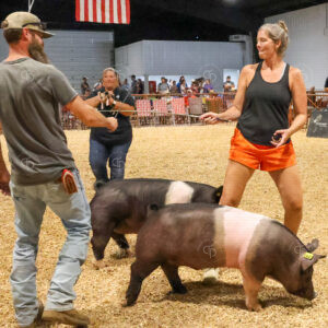 Old Timer's 4-H Swine Show