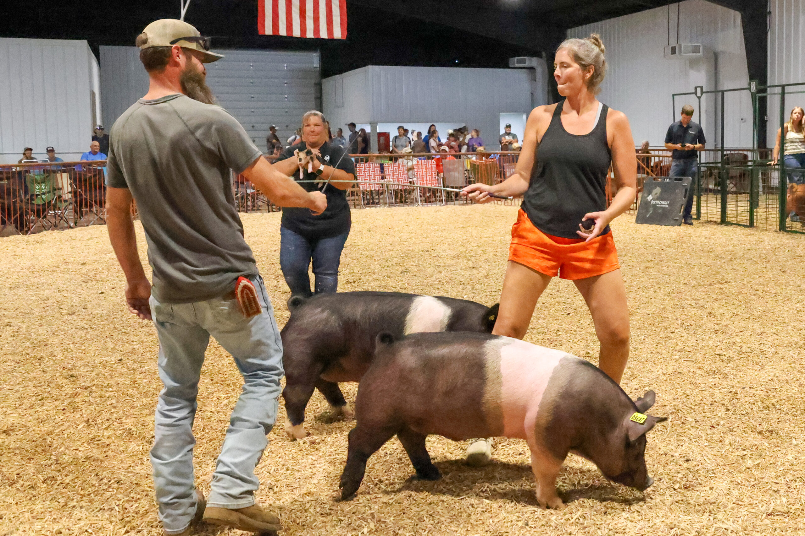 Old Timer's 4-H Swine Show