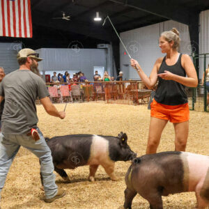 Old Timer's 4-H Swine Show