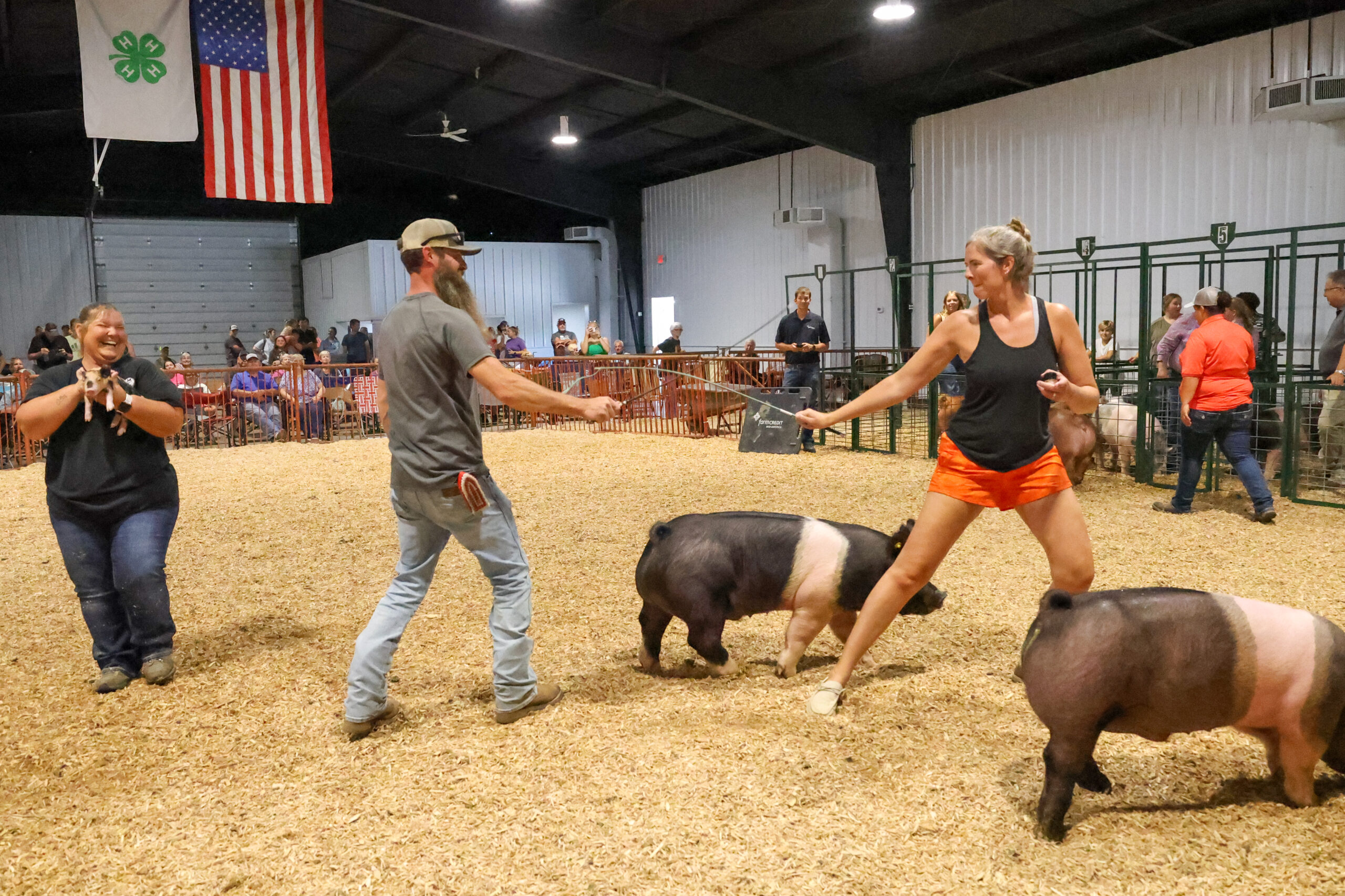 Old Timer's 4-H Swine Show