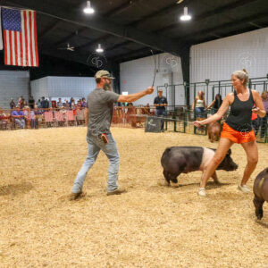 Old Timer's 4-H Swine Show