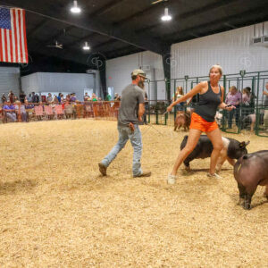 Old Timer's 4-H Swine Show
