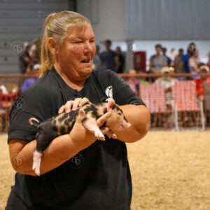 Old Timer's 4-H Swine Show