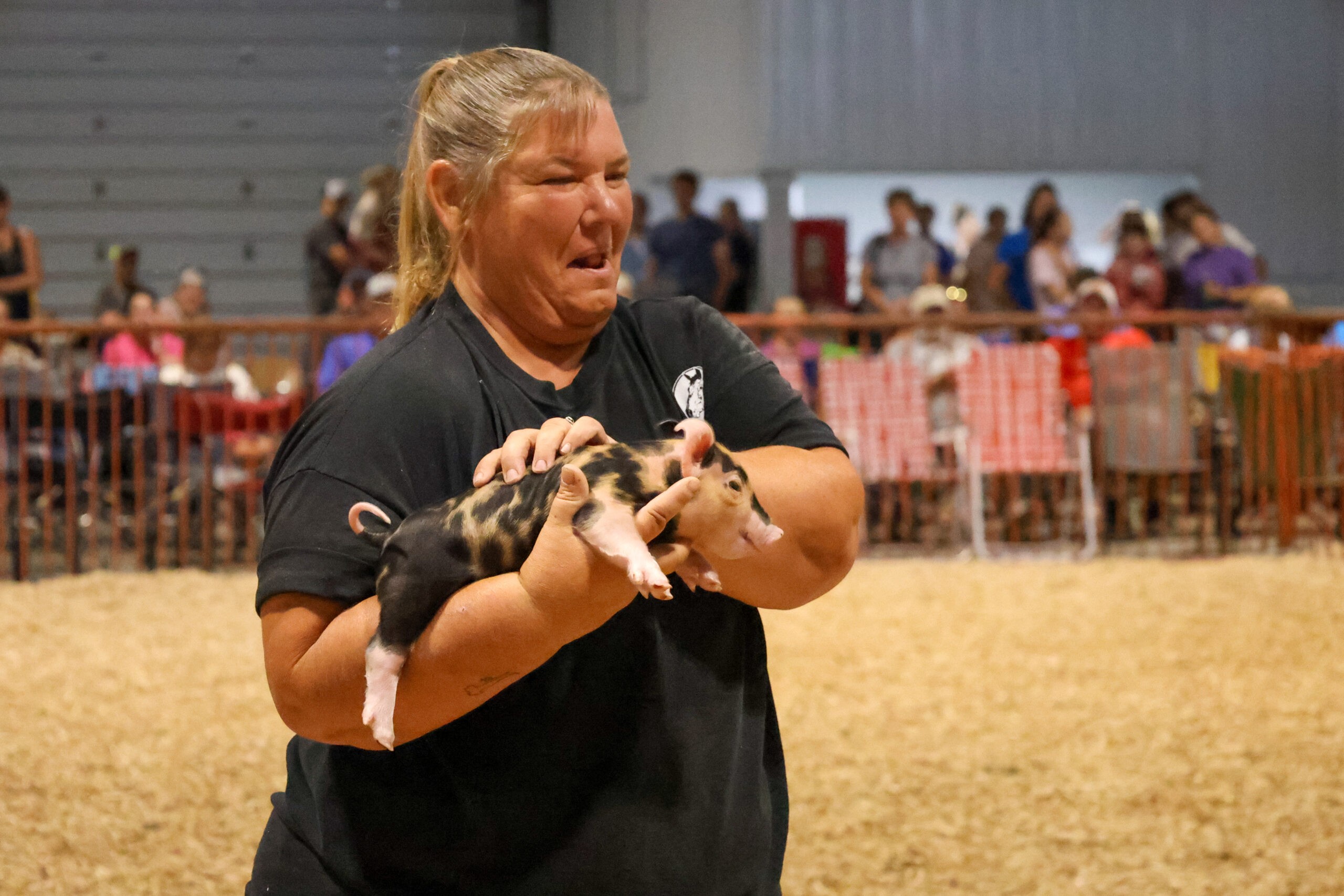 Old Timer's 4-H Swine Show